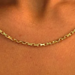 Anchor Chain
