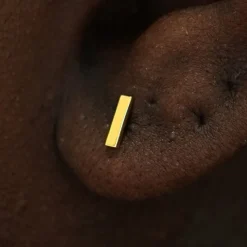 Bar Earring