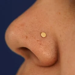 Circle Nose Stud