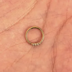 3 Diamond Septum