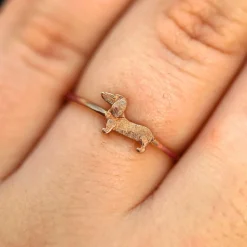 Dog Ring