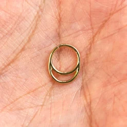 Double Circle Septum