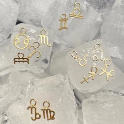 Horoscope Charm