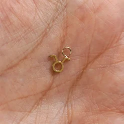 Horoscope Charm