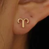 Horoscope Earring