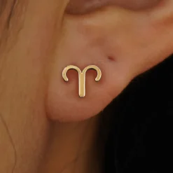 Horoscope Earring