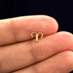 Horoscope Earring