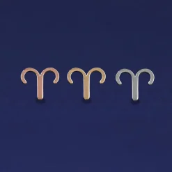 Horoscope Earring
