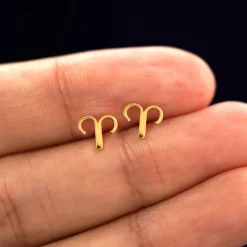 Horoscope Earring