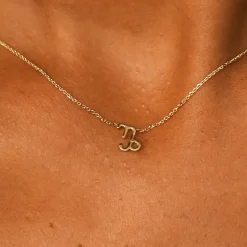 Horoscope Necklace
