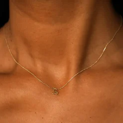 Horoscope Necklace