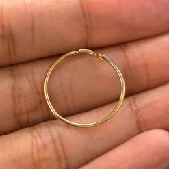 Horoscope Ring