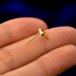 Horseshoe Earring