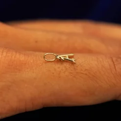 Initial Charm