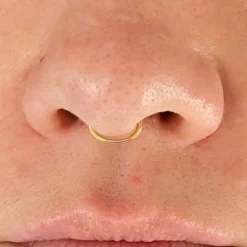 Line Septum