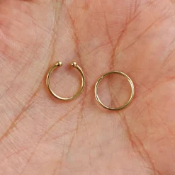 Line Septum