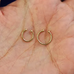 Line Septum