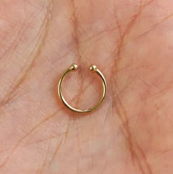 Line Septum