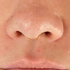 Line Septum