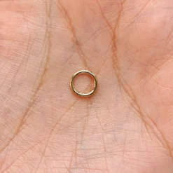 Mini Seamless Huggie Hoops / Piercing