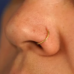 Nose Ring Hoop