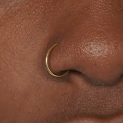 Nose Ring Hoop