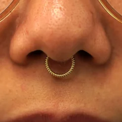 Rope Septum