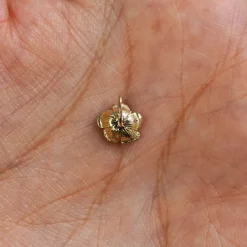 Rose Charm