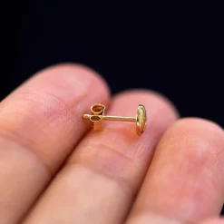 Screw Earring