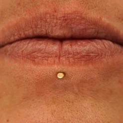 Small Ball Flatback Piercing