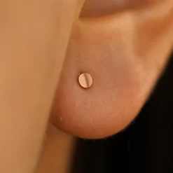 Small Circle Earring