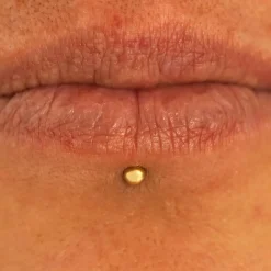 Small Straight Barbell Piercing