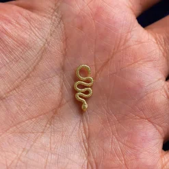 Snake Charm