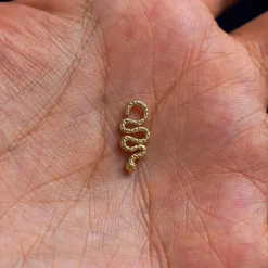 Snake Charm