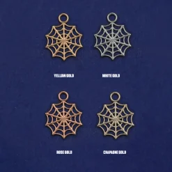 Spider Web Charm