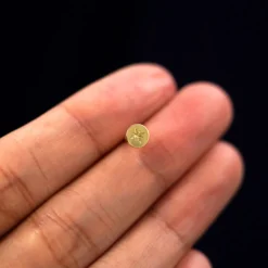 Star Disk Earring