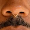 Triangle Septum