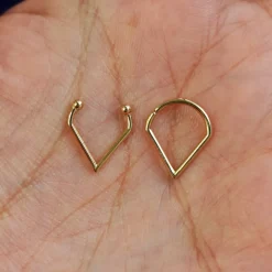 Triangle Septum