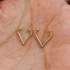 Triangle Septum